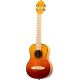 ORTEGA UKELELE RUPR-TQB