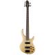 CORT BAJO ELEC ACTION DLX V AS OPN