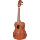 ORTEGA UKELELE RU5MM-L