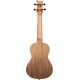 ORTEGA ELEMENT S. AC CONCERT UKELELE SPRCCATALPA RED