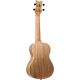 ORTEGA ELEMENT S. AC CONCERT UKELELE SPRCCATALPA RED