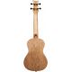 ORTEGA ELEMENT S. AC CONCERT UKELELE SPRCCATALPA BLACK