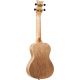 ORTEGA ELEMENT S. AC CONCERT UKELELE SPRCCATALPA BLACK
