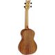 ORTEGA UKELELE RUACA-CC