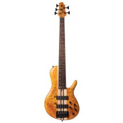 CORT BAJO ELEC A5 PLUS SC (REGULAR SCALE)WCASE