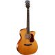 CORT GUIT ACUST GOLD-OC6 NAT WCASE
