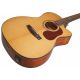 CORT GUIT ACUST GOLD-OC6 NAT WCASE
