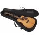 CORT GUIT ACUST GOLD-OC6 NAT WCASE