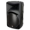 MACKIE COLUMNA PASIVA C 300Z