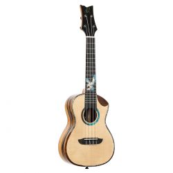 ORTEGA PRIVATE ROOM, CONCERT UKELELE EAGLESUITE-U