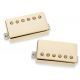 SEYMOUR DUNCAN SET SLASH 2.0 GLD