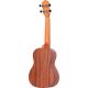 ORTEGA UKELELE RU5L