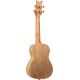 ORTEGA ART S. AC CONCERT UKELELE SPRUCECATALPA BIRDS