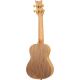 ORTEGA ART S. AC CONCERT UKELELE SPRUCECATALPA EGYPT