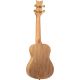 ORTEGA ART S. AC CONCERT UKELELE SPRUCECATALPA EGYPT