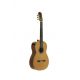 JOSE TORRES GUIT CLASICA JTC-75