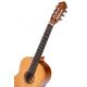 ORTEGA GUIT. CLAS. R122G GLOSS