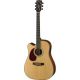CORT GUIT ACUST MR710F LH NS