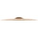 MEINL B20RBR 20 RAW BELL RIDE