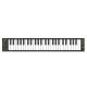 CARRY ON MIDI CONTROLLER 49