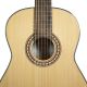 OQAN GUITARRA CLASICA QGC-20