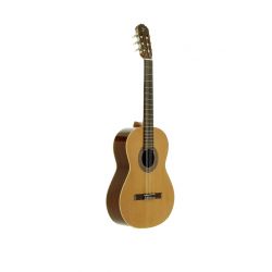 JOSE TORRES GUIT CLASICA JTC-10