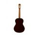 JOSE TORRES GUIT CLASICA JTC-10