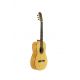 JOSE TORRES GUIT FLAMENCA JTF-50