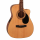 CORT GUIT ACUST AF515CE OP