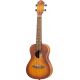 ORTEGA UKELELE RUDAWN