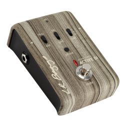 LR BAGGS PEDAL ALIGN ACTIVE DI