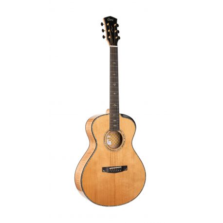 CORT B-STOCK GUIT ACUS GOLD-PASSION NAT WCASE