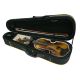 OQAN VIOLIN OV100 12