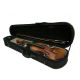 OQAN VIOLIN OV150 44
