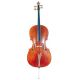 OQAN VIOLONCELLO OC300 44
