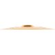 MEINL CC16TRC-B TRASH CRASH 16 SERIE CLASSICS CUSTOM