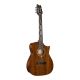 CORT FRANK GAMBALE LUXE NYLON BR WCASE