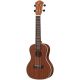 OQAN UKELELE SOPR ELECTR QUK-25SE