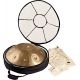 SONIC ENERGY HPSTL91 HANDPAN STAINLESS STEEL, VINT.GOLD,D AMARA