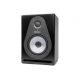 SAMSON MONITOR RESOLV SE6 POWERED MONITOR-SINGLE