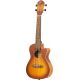 ORTEGA UKELELE RUDAWN-CE