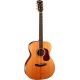 CORT GUIT ACUST GOLD-OC8 NAT WCASE