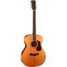 CORT GUIT ACUST GOLD-OC8 NAT WCASE