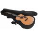 CORT GUIT ACUST GOLD-OC8 NAT WCASE