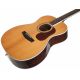 CORT GUIT ACUST GOLD-OC8 NAT WCASE