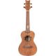 ORTEGA UKELELE LIZARD-CC-GBL