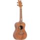 ORTEGA UKELELE LIZARD-CC-GBL