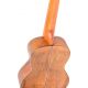 ORTEGA UKELELE LIZARD-CC-GBL
