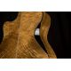 CORT GUIT ACUST GOLD EDGE NAT CFUNDA
