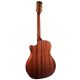 CORT GUIT ACUST GOLD-A6 NAT WCASE